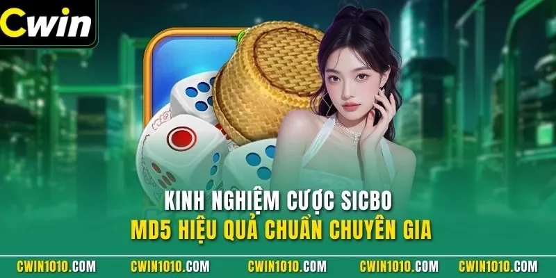 Kinh nghiệm cược sicbo tài phú MD5 CWIN hiệu quả chuẩn chuyên gia